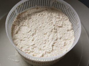 Cheese-Making Cheese-Making